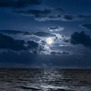 Profile image of クズハ