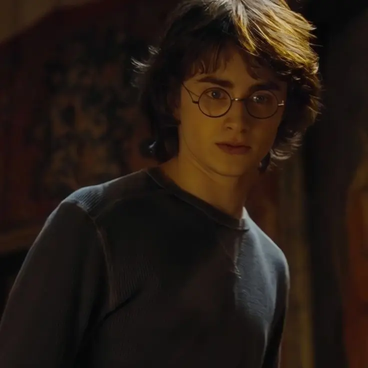InlandApple3783의 Harry Potter