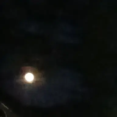 Profile image of MT
