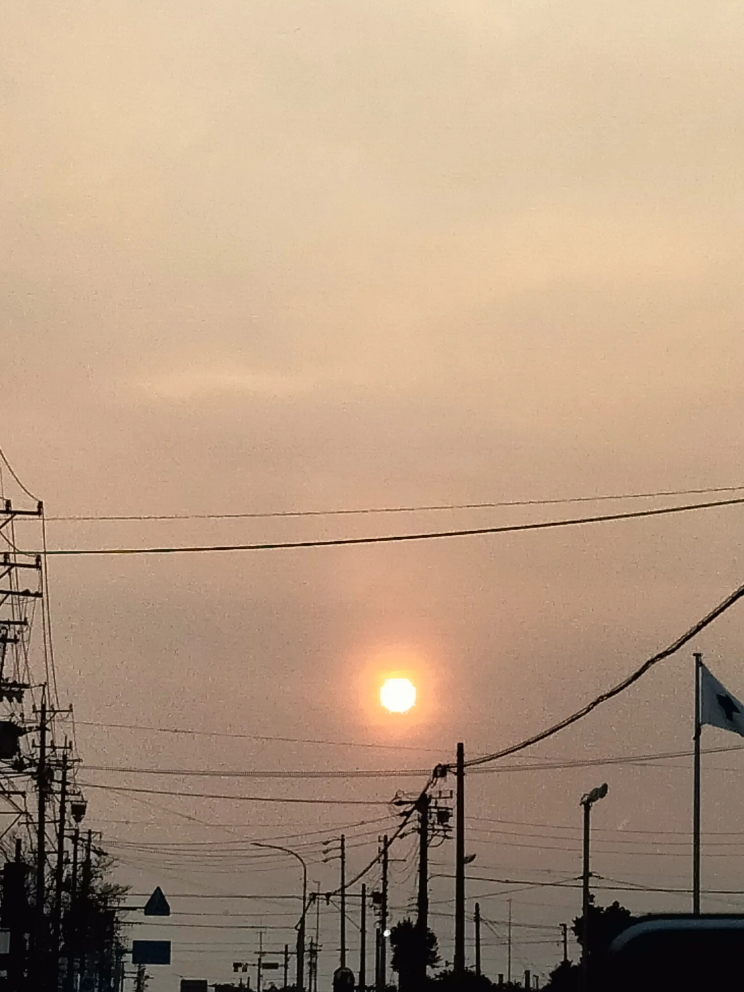 OpenRadar0450의 みんなでシェアハウスしよ！！