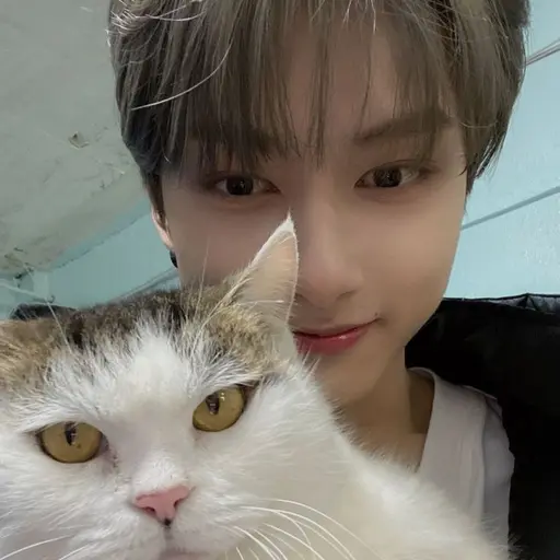 how_k의 문준휘