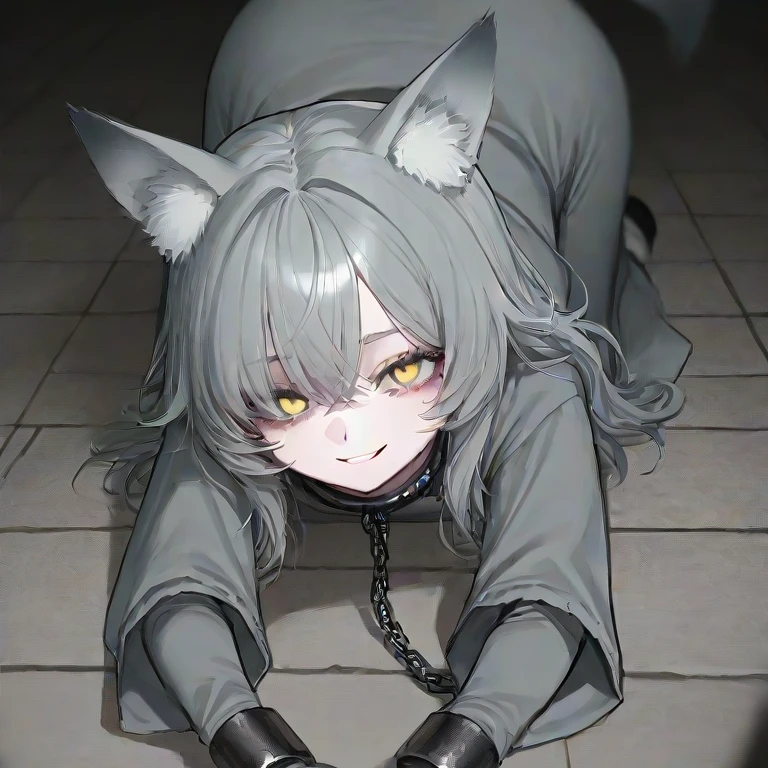 페르벨루스
