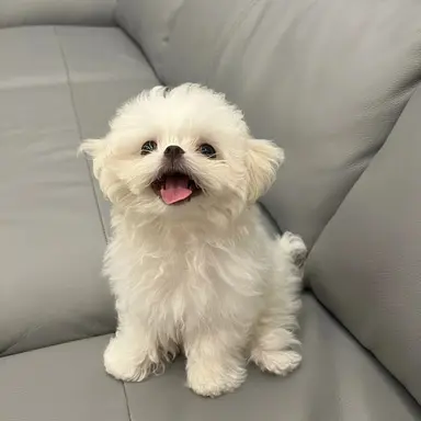 Profile image of 김민정