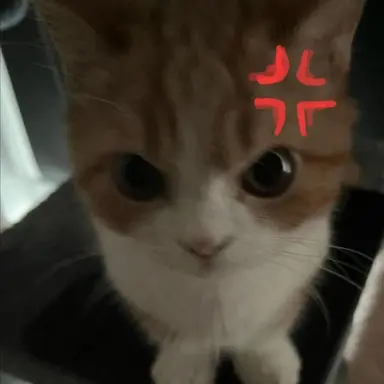 Profile image of 닝이줘