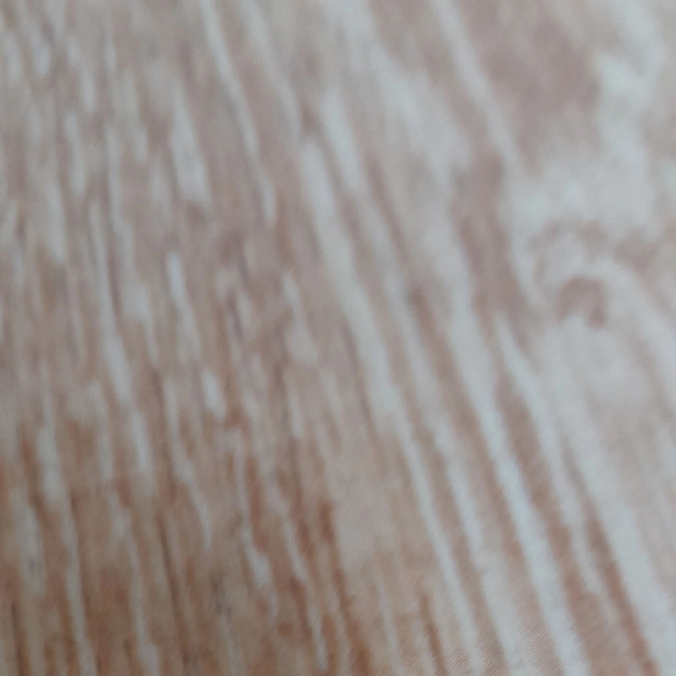 ModestStem1786의 대저택 고등학교.