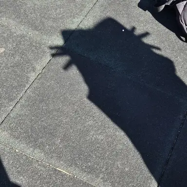 Profile image of 원뀨