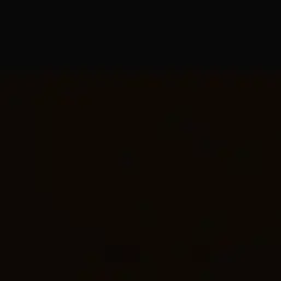 Woozi의 ㄱㅅㅇ