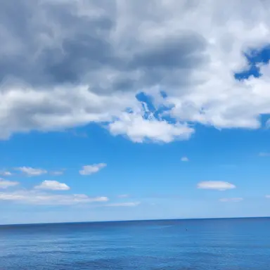 Profile image of 박지원