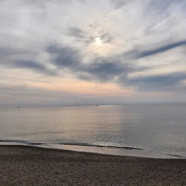 Profile image of 이채영