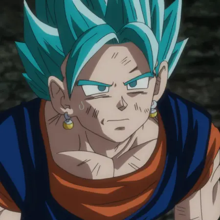 Kakarot1996의 베지트