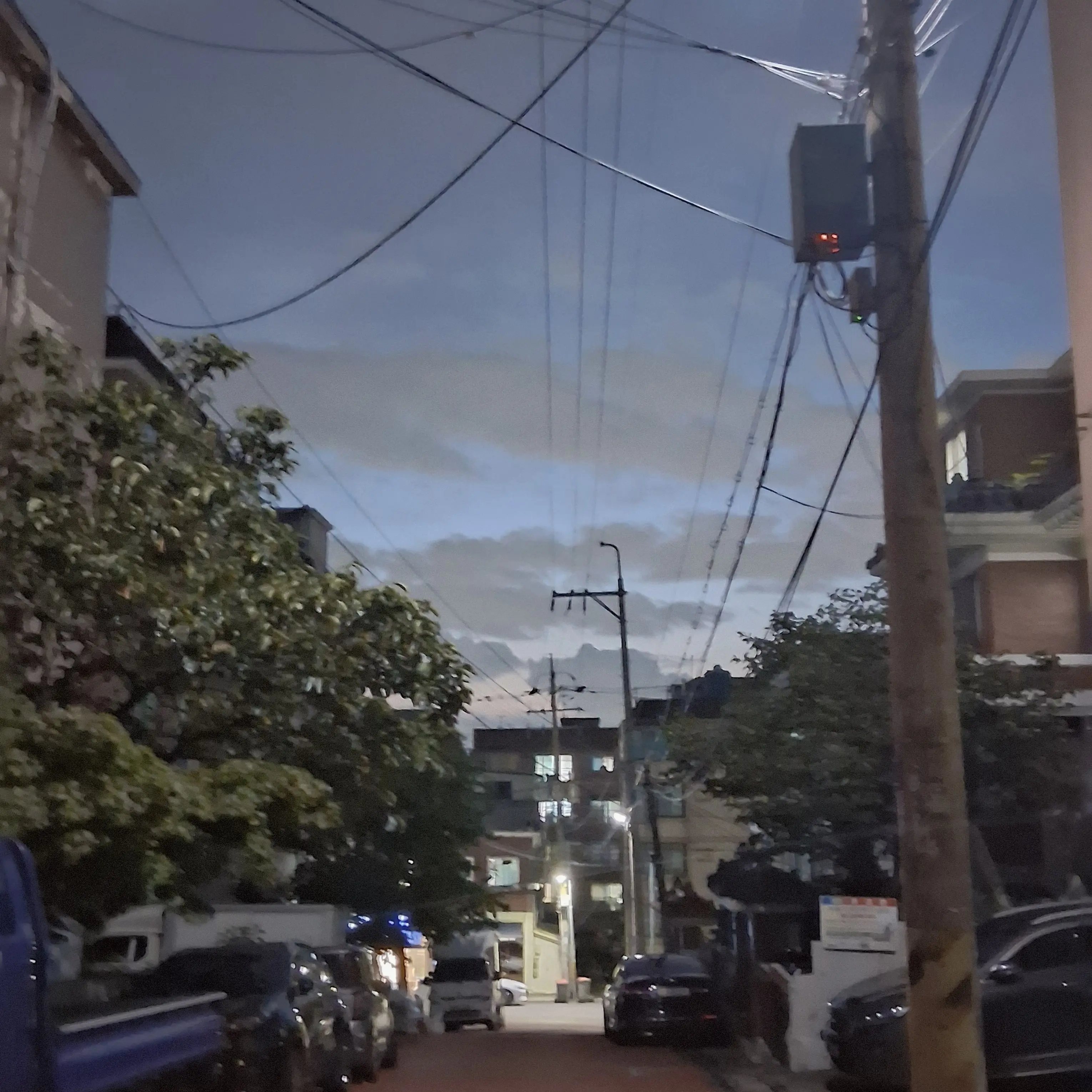 MuskyPipe0957의 최범규