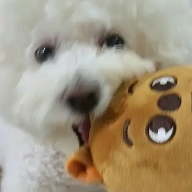 LongReef0279의 한지성