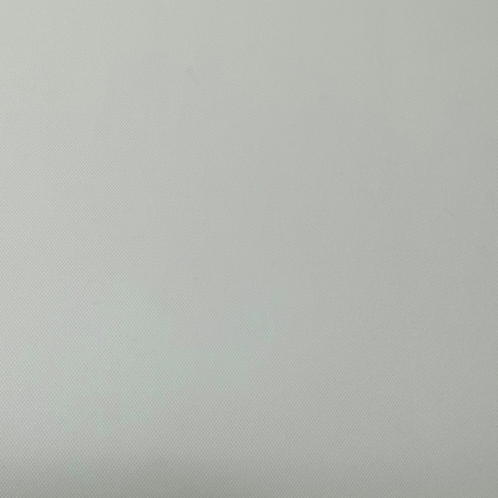 김선우
