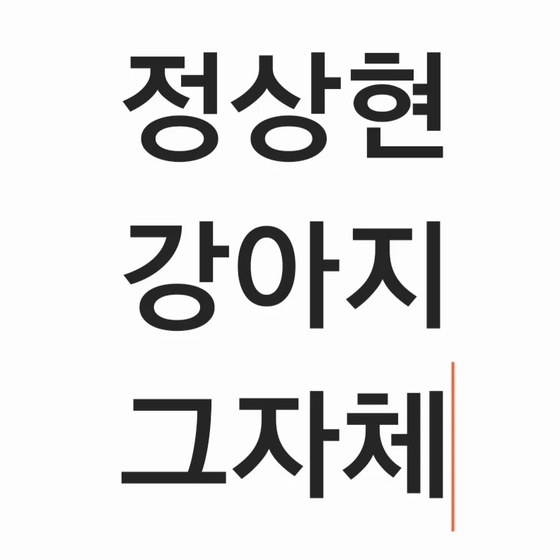보플2 단톡방