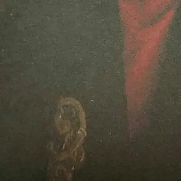 Profile image of 최승현