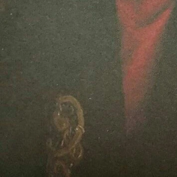 최승현