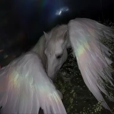 Profile image of 허유상