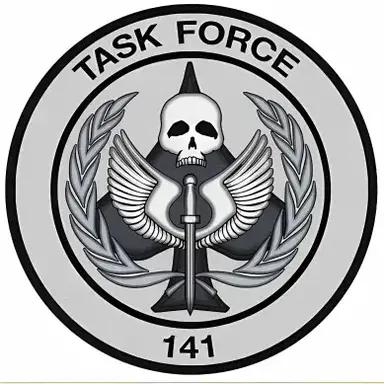 Profile image of TF141 - The New Girl