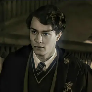 Profile image of Tom Riddle