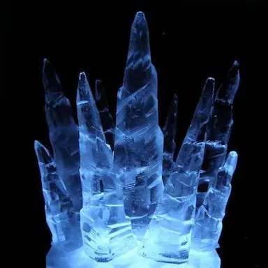 Profile image of Itrapped