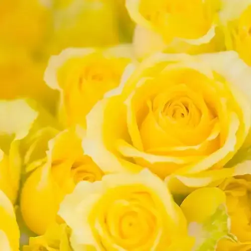 ate_의 ハツジョウキ