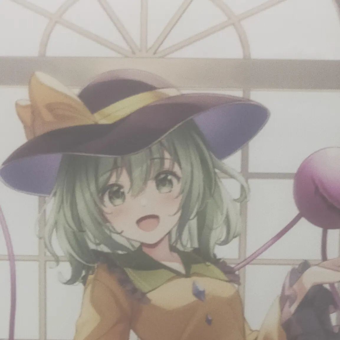 touhoumadisuki의 古明地こいしに恋をする！？