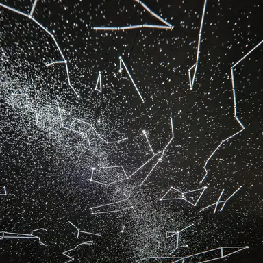 Profile image of 유지민