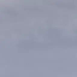 Profile image of RAS