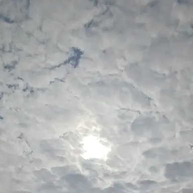 Profile image of 차즈