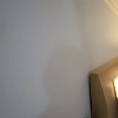 Profile image of 지붕뚫고 하이킥