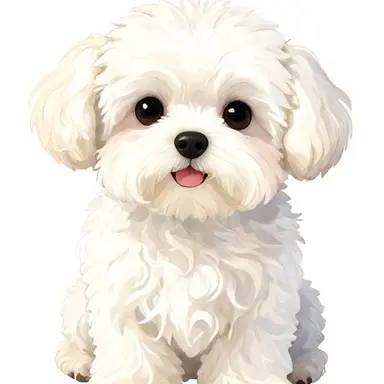 Profile image of 루나