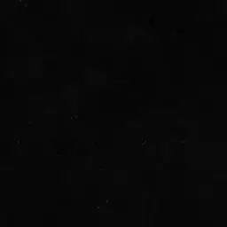 Profile image of Uri