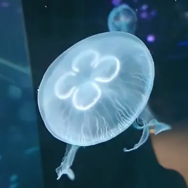 Profile image of 린이