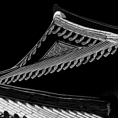 Profile image of 박지상