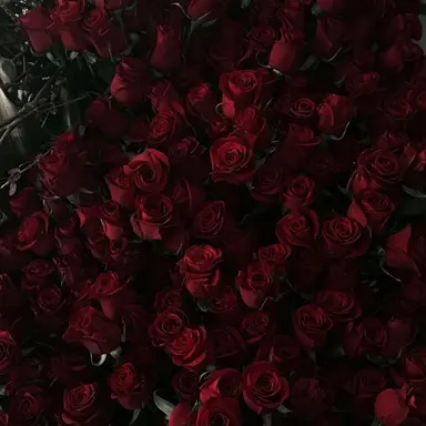 Profile image of 마플