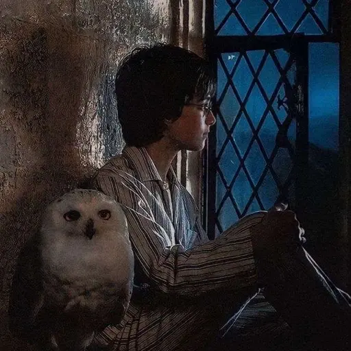 Kim_의 Harry Poter.