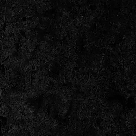 Woozi_1122_Love의 (>~<)つ