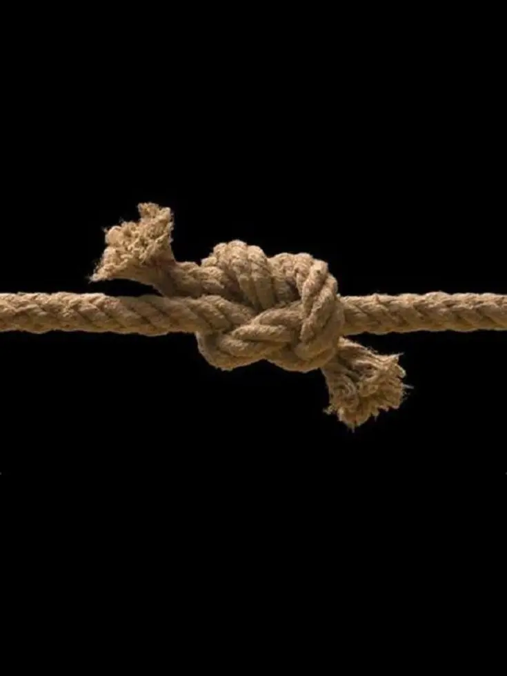 missconstruction의 "납치된 게 맞나요?"