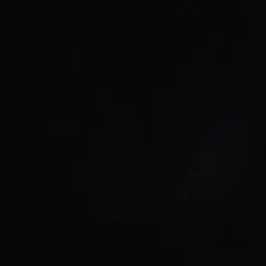 Profile image of 장한음