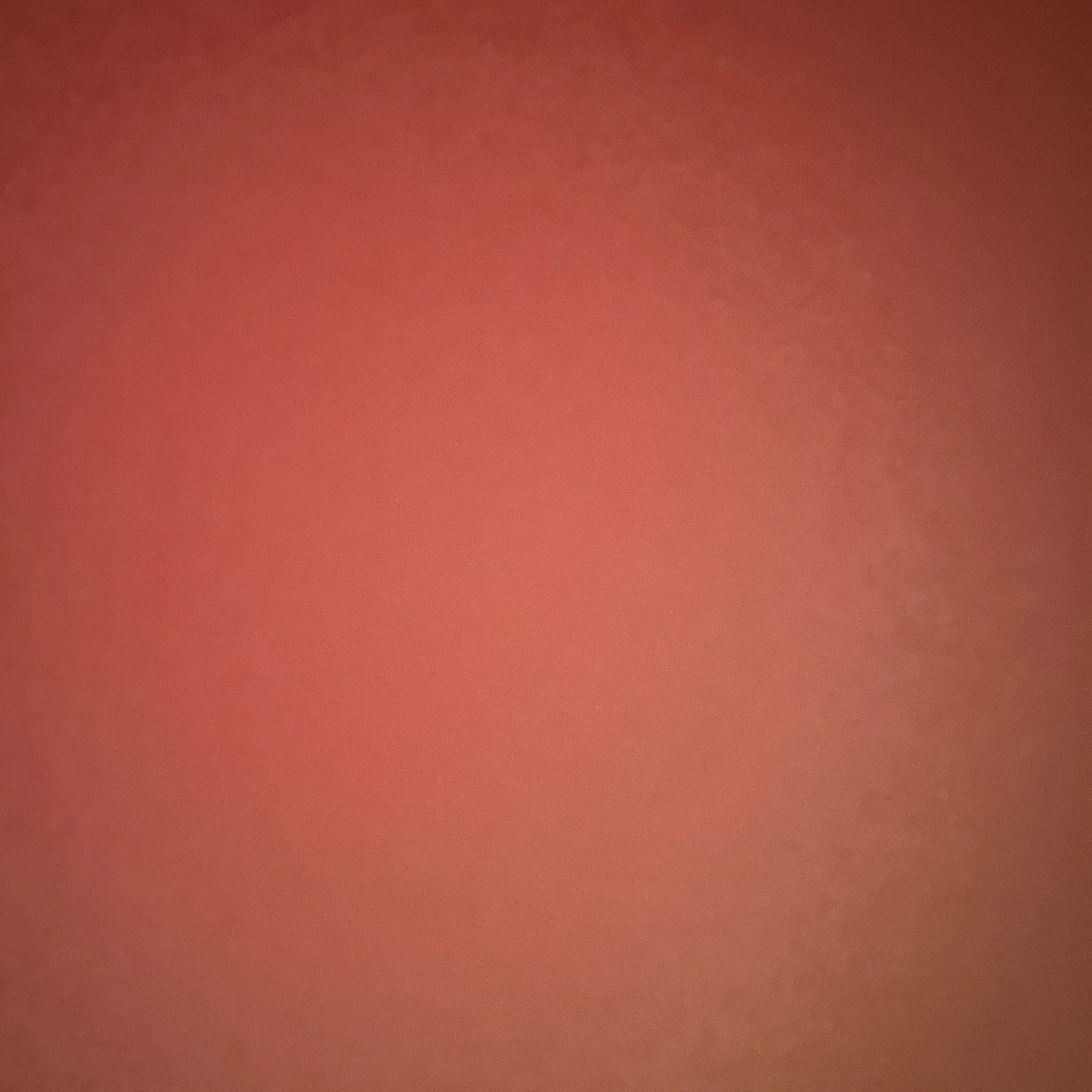 ShabbyBump1473의 학교에 고양이 에스파 아이브!?