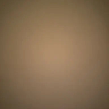 Profile image of 윈터