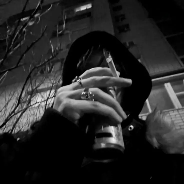 xoxoS의 Kaito