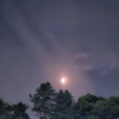 Profile image of 쉐도우밀크