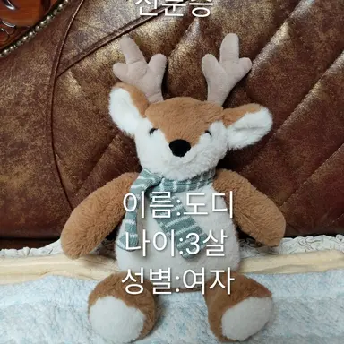 Profile image of 여우