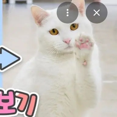Profile image of 우유