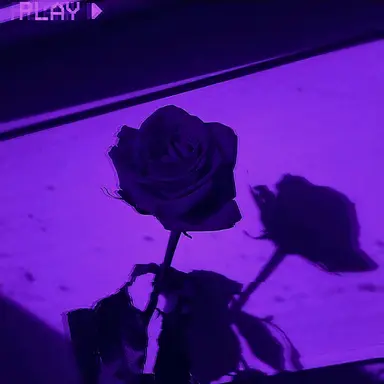 Profile image of 수 경사