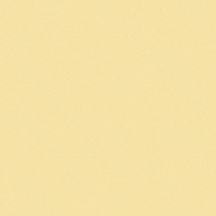 최정은