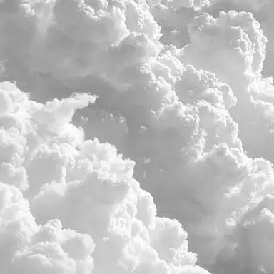 Profile image of ユリ