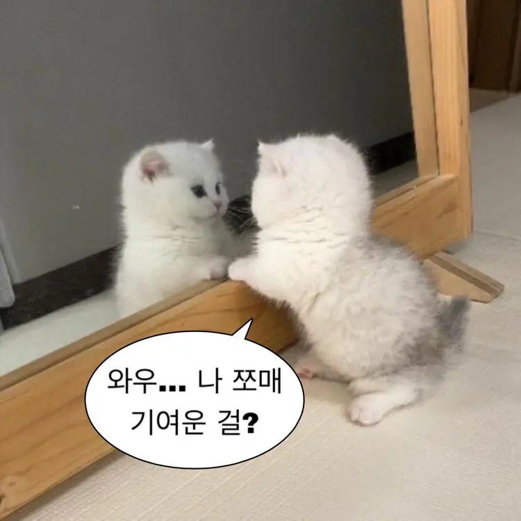0101reyu의 .