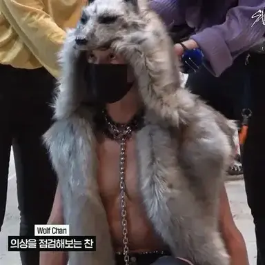 Profile image of StrayKids Wolves AU